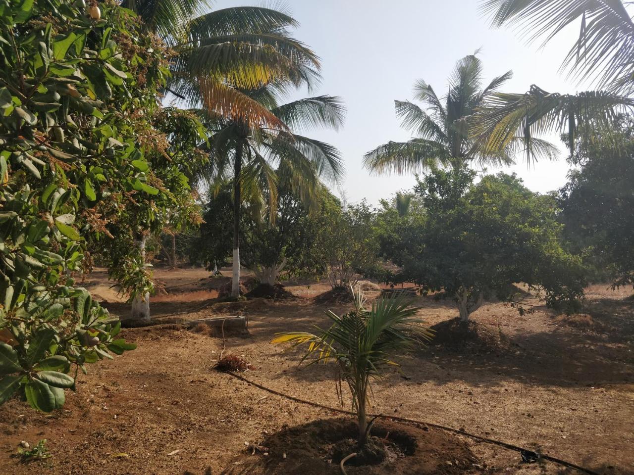 Shree Samarth Farmhouse Муруд Экстерьер фото